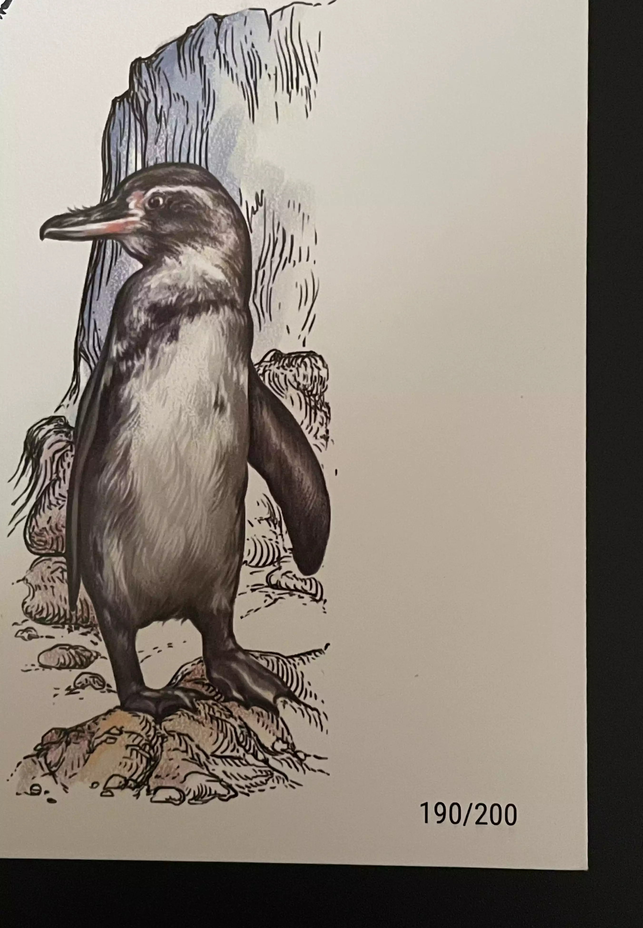 Official Euro Souvenir Cover - Gefährdete Fauna (Strasbourg)